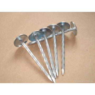 Hot-Dipped Galvanized Umbrella Roofing Nail